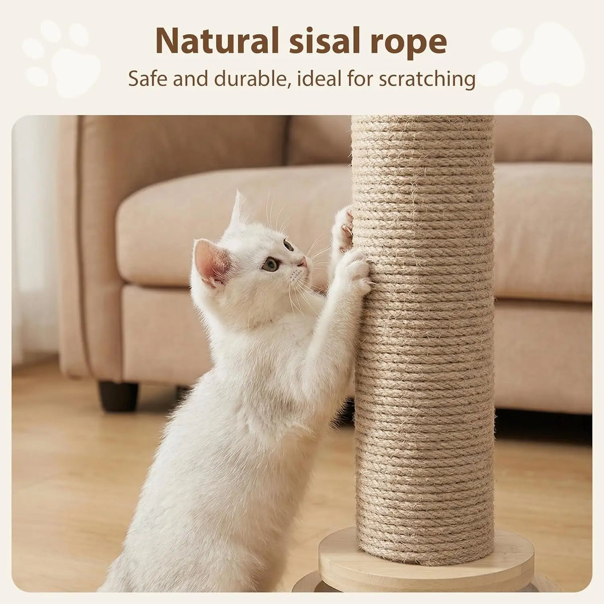 4-in-1 Cat Scratching Post with Track Balls & Feather – 46cm
