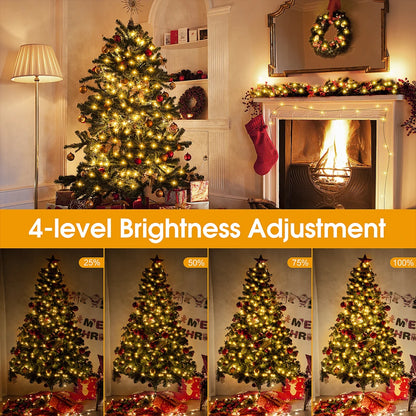 50m Outdoor Christmas String Lights – 500 LED, Remote