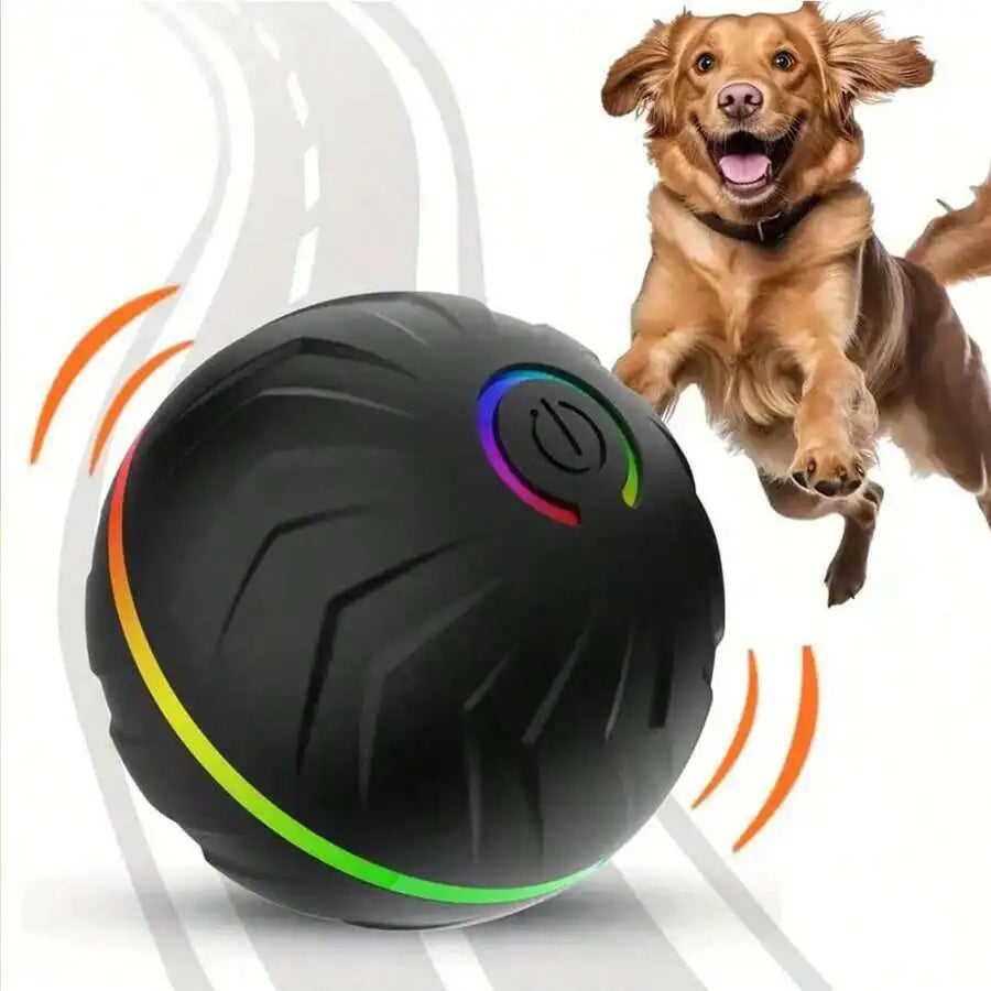 Smart Rolling Dog Ball – USB Rechargeable