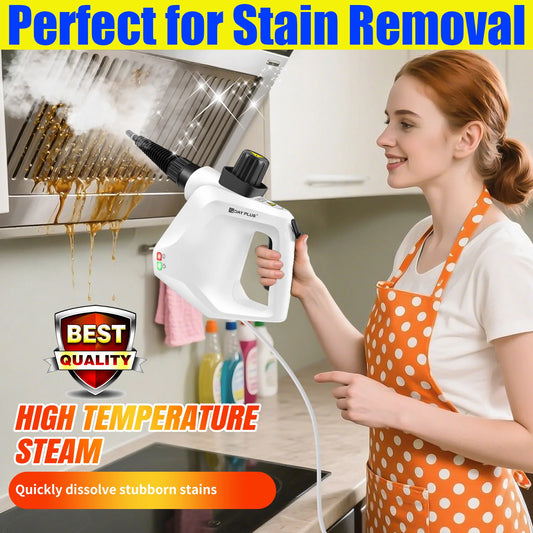DayPlus High-Temperature Steam Cleaner