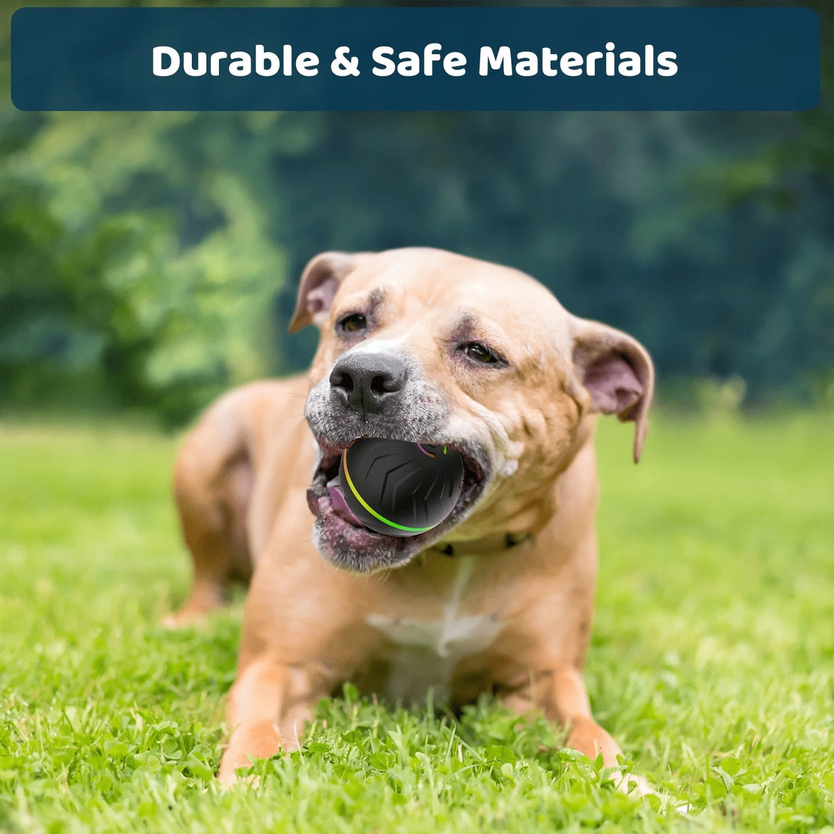 Smart Rolling Dog Ball – USB Rechargeable