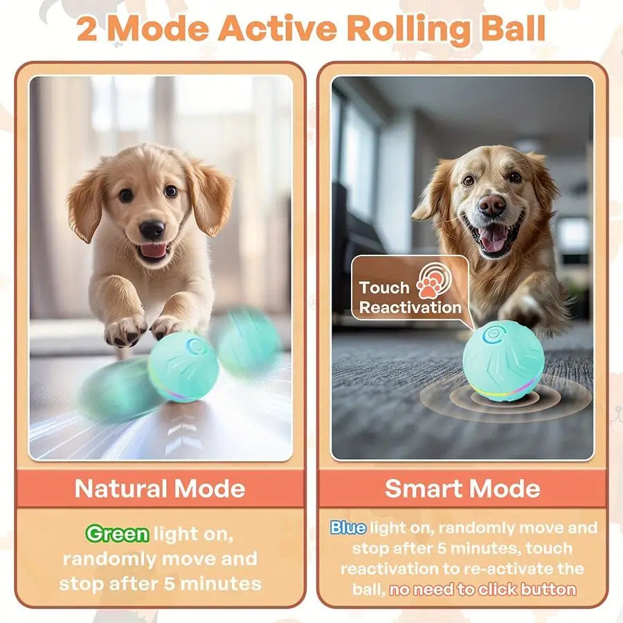 Smart Rolling Dog Ball – USB Rechargeable